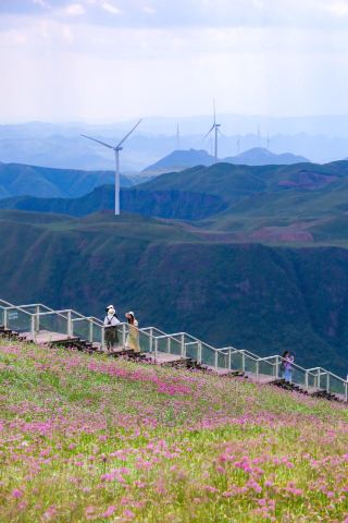 Beautiful to the point of tears... Guizhou Jiucaiping is in full bloom