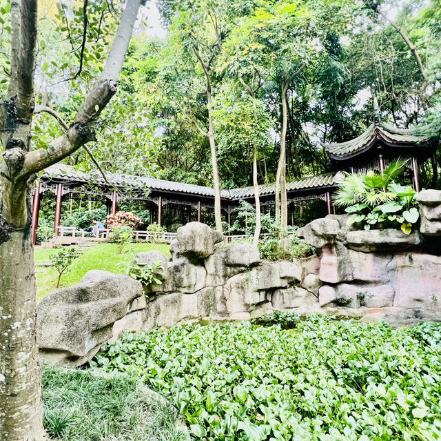 深圳匯芳園😍深圳園林代表作