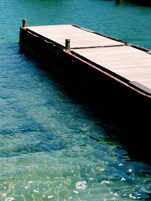 寧靜的閱讀體驗和美麗的海景