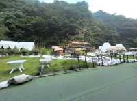 太平國家森林公園。