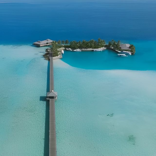 馬爾代夫太陽島 | 夢幻度假天堂。