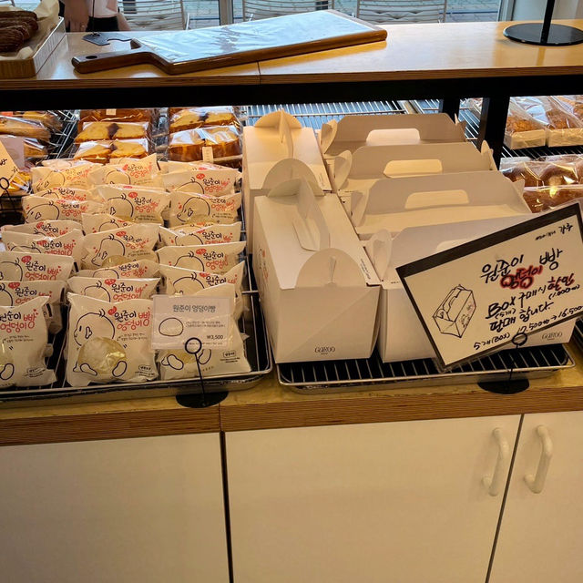속초 빵지순례 크림빵 맛집 베이커리 가루🥖