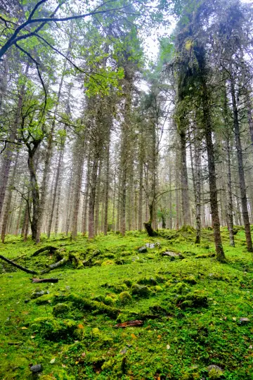 Checked in at the Shenmu Lei Scenic Area in Western Sichuan on the first day of the National Day holiday. 