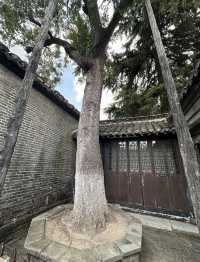 周恩來故居 | 心靈的敬仰之旅。