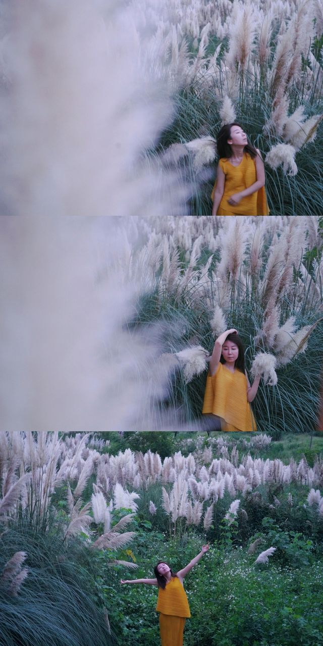 《蘆葦微微！為周末畫個逗號》。