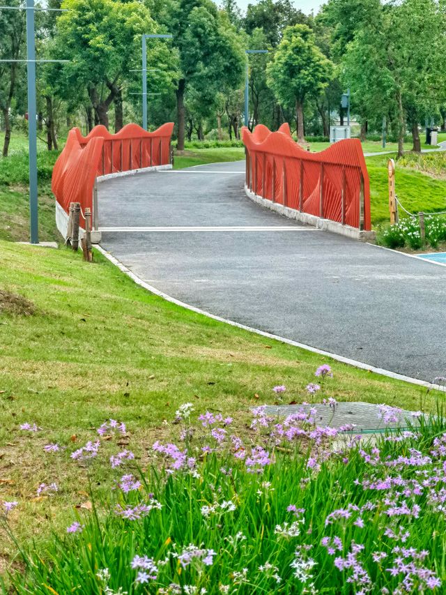 上海濱江公園：粉色浪漫花海等你來。