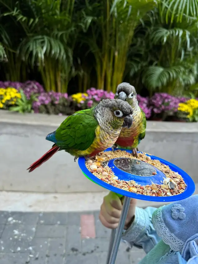 แนะนำการท่องเที่ยวและเช็คอินสถานที่ยอดนิยม