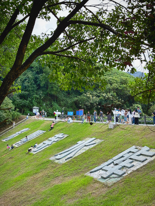 杭州光明寺：邂逅禪意，靜享時光。