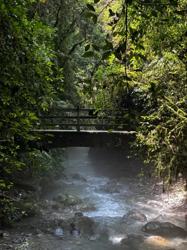 다저우 타오시구.