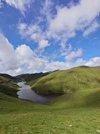 藍天白雲，陽光普照。山花浪漫，河水清清。