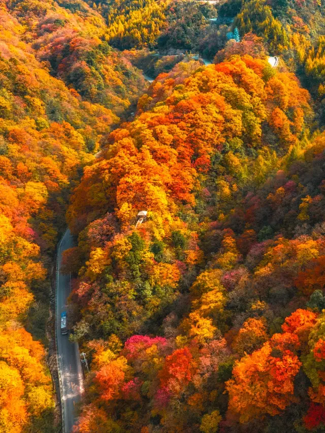 Highly recommended! You must visit Guangwu Mountain in autumn!