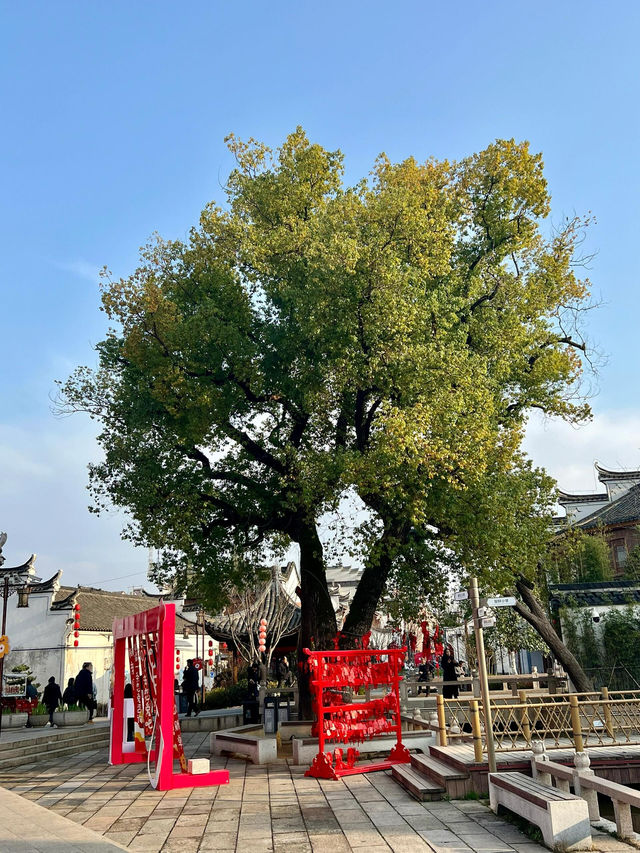 佛堂古街|去不同的地方看不同的風景。