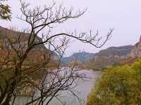 青塔湖濕地公園。