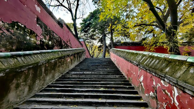 打卡戒台寺，大片兒多多。