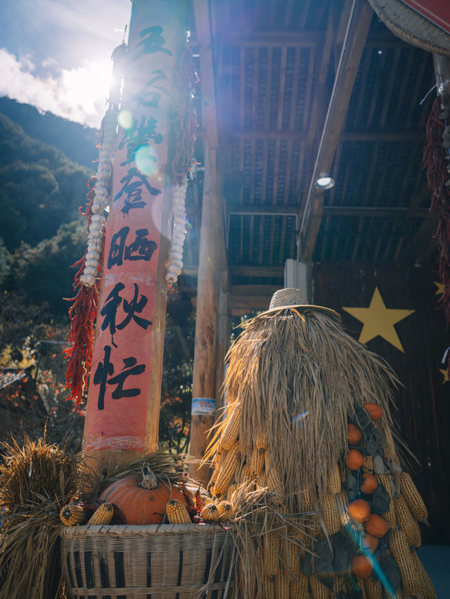 陝西晒秋｜五穀豐登晒秋忙。