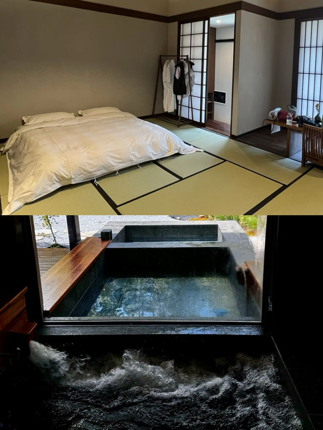 上海！崇明島！寵物友善！可以泡湯！太適合冬天了。