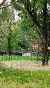 身邊的寶藏公園。