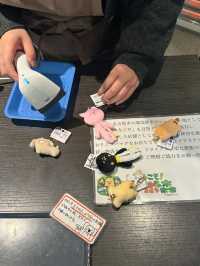 Nagoya | Visit Capybaras, but Management Says They're Gone