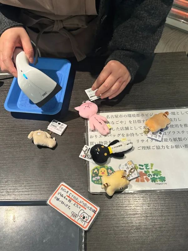 Nagoya | Visit Capybaras, but Management Says They're Gone