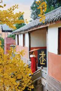 成都周邊1H｜赴一場千年古寺的銀杏之約。