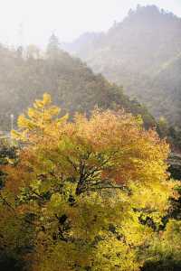 四川小眾紅葉秘境一藏在山裡的扒昔加古寨。