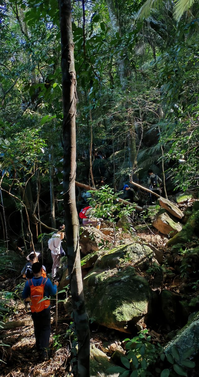 海南深山大環線徒步·瓊中白馬嶺1-4峰連穿。。