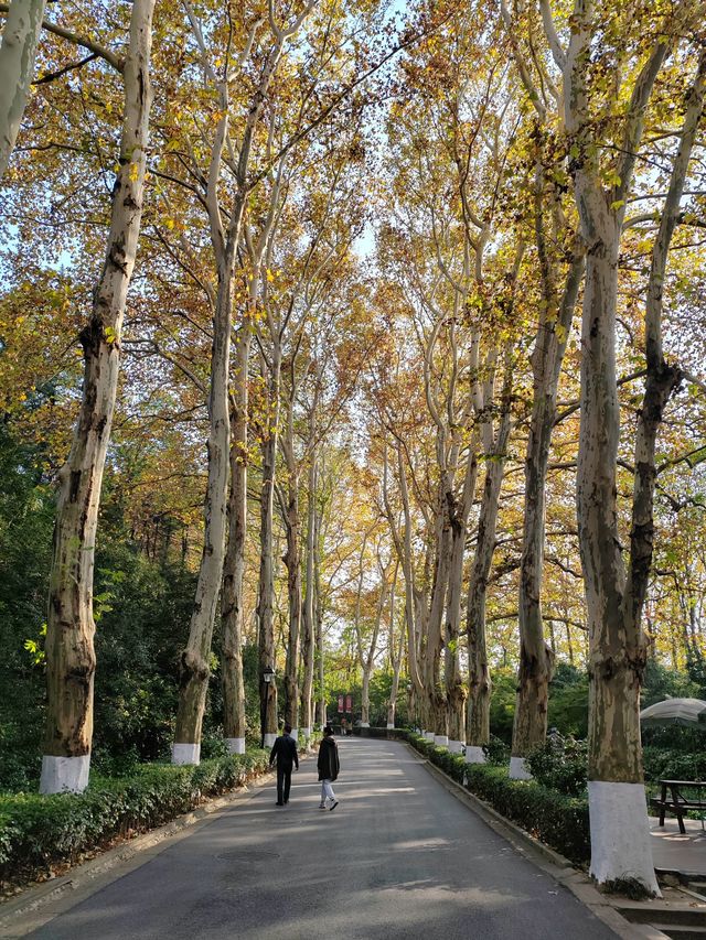 南京｜緬懷革命先烈，傳承紅色基因——雨花台景區