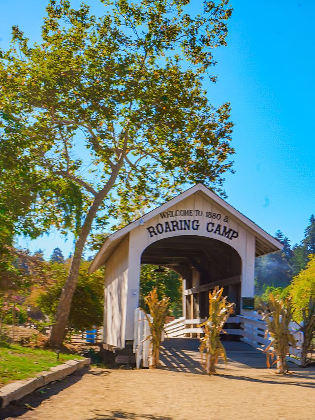 坐上蒸汽火車穿越紅杉樹林 坐上蒸汽火車穿越紅杉樹林