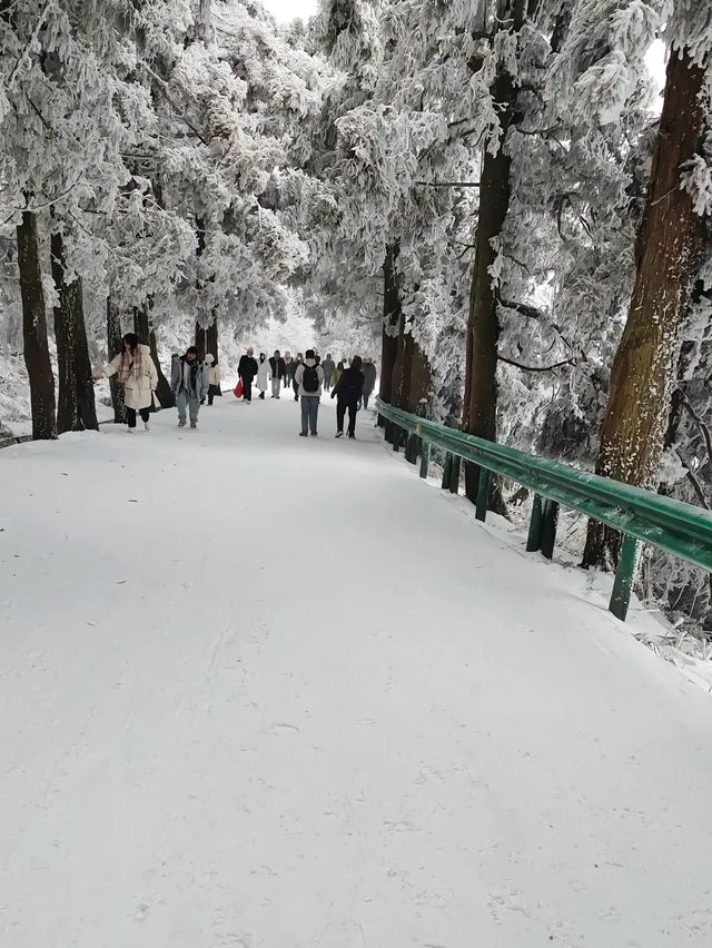 廣東出發3大賞雪寶藏城市！快記下！