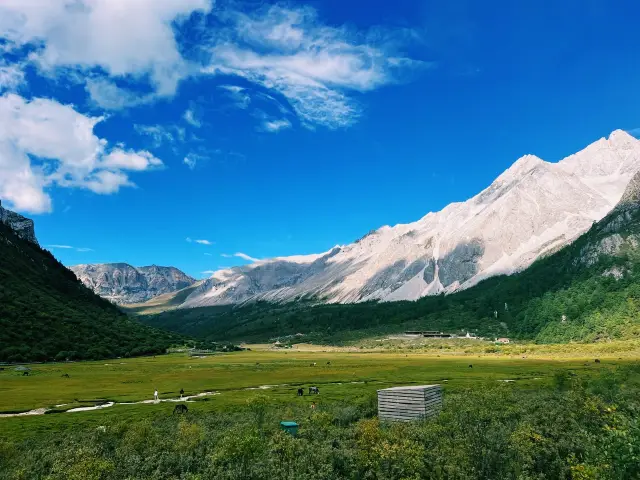 ดาวชัง หย่าติง