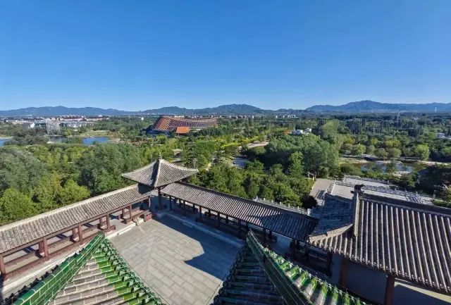 「水面清圓,一一風荷舉」——北京世園公園