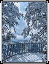 年年落雪 落雪年年光霧山