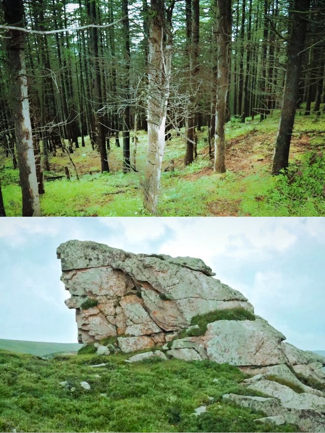 走遍山西系列（三十八）——忻州·荷葉坪