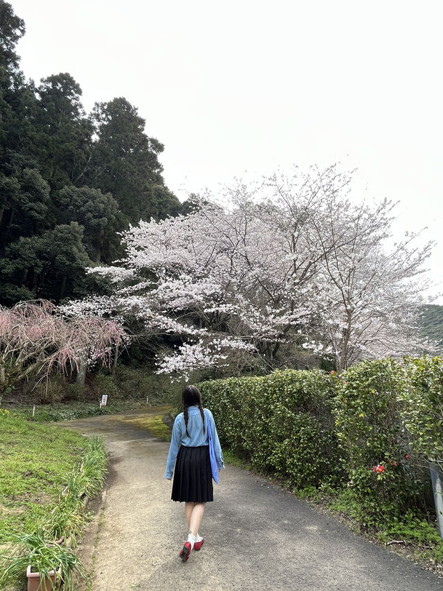 福岡大濠公園、舞鶴公園一日遊攻略決不可錯過放鬆之旅