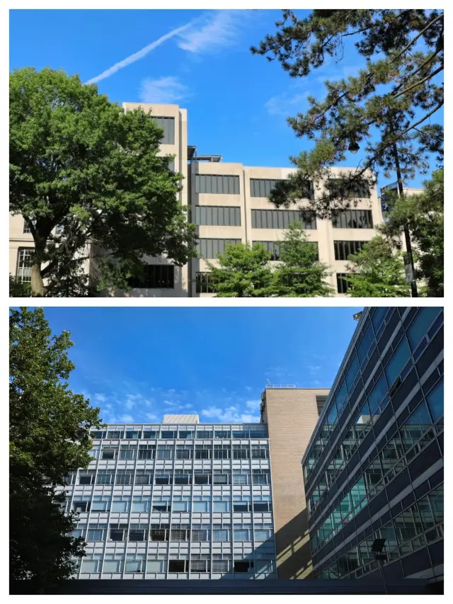 Explore the Academic Hub of Cambridge, USA