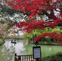冬日不一樣的西溪湿地公園