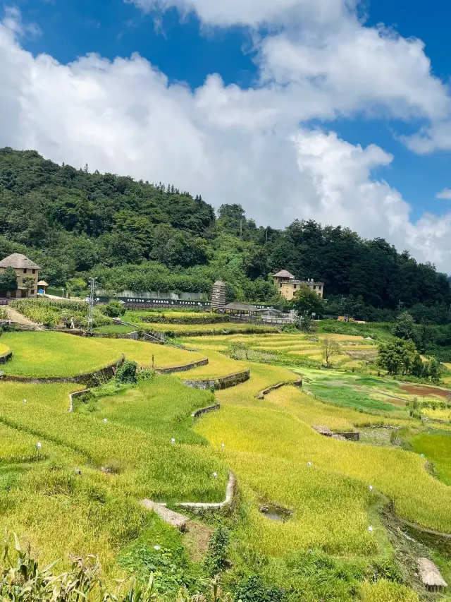 윈난 쿤밍-위안양 하니 계단식 논 아이와 함께 온천 여행 가이드 추천
