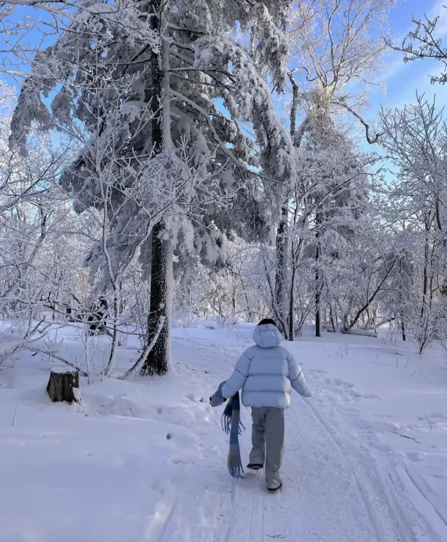 Live | Snow Ridge is like a fairy tale world