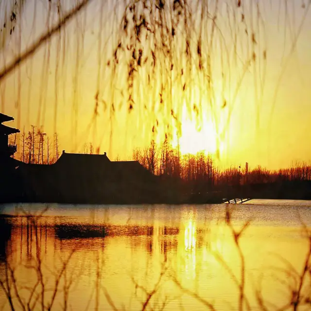 You would never have thought that Yancheng is home to such a vacation paradise! 