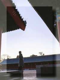 來北京只為看它一眼，不愧是星空藻井天花板