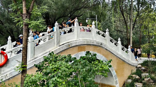 北坞公園的夏天，真美！