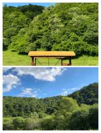 寶雞大水川：探秘小眾仙境，盡享自然與人文的雙重盛宴