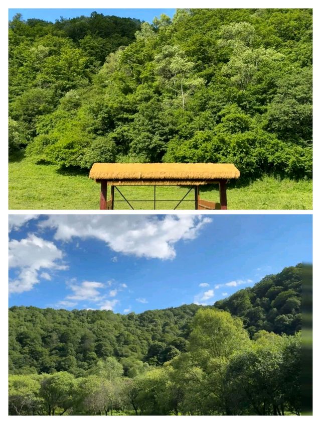 寶雞大水川：探秘小眾仙境，盡享自然與人文的雙重盛宴