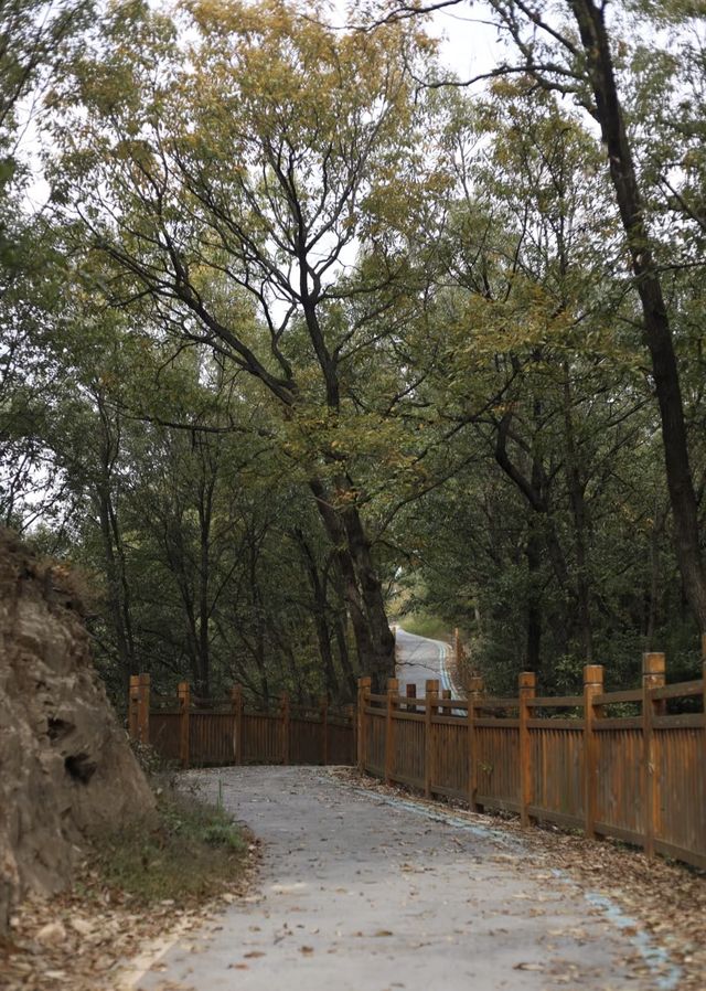 我推薦成都這條絕美的山頂觀景步道