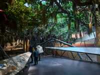 自然博物館•貝林大河生命館