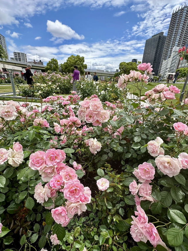 城市綠洲的微光