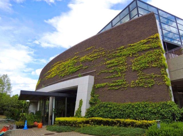 大阪市立自然史博物館
