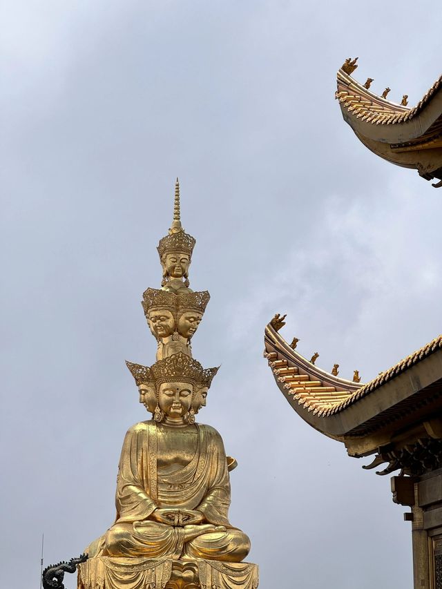 峨眉山-樂山-都江堰帶娃尋熊貓超全旅遊攻略