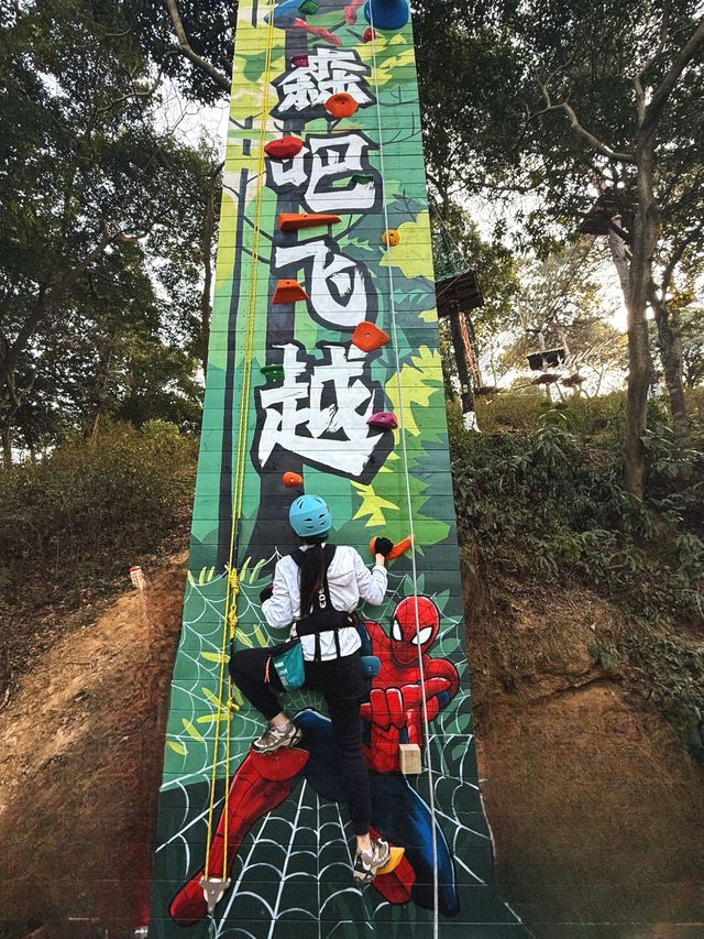 太刺激啦爆好玩的森林探險還能飛躍其中