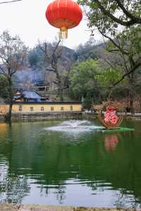 新昌大佛寺|賞花燈，遊古寺，邂逅一場禪意與美景